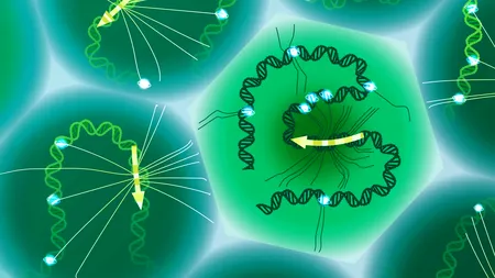 O nouă eră în genetică: oamenii de știință au reușit să citească „codul ascuns” al ADN-ului care modelează bolile