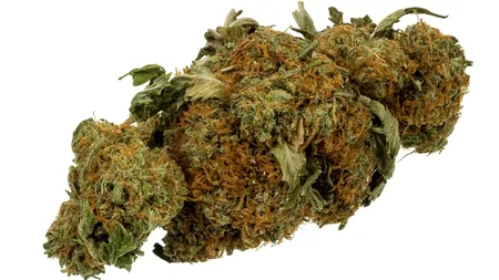 Nou studiu îngrijorător al oamenilor de știință. Marijuana dublează riscul de deces cardiovascular