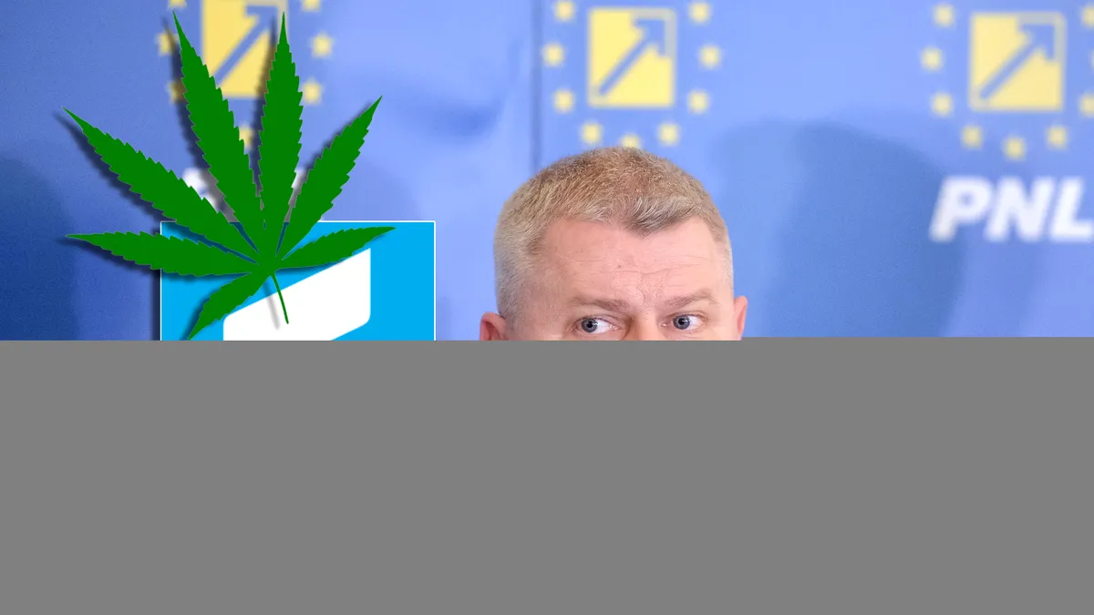 Florin Roman: USR, partidul 3 grame de Canabis
