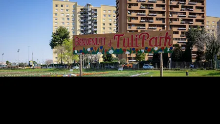 Tulipark din Roma