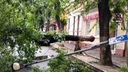 Județul Bihor a fost devastat de furtună