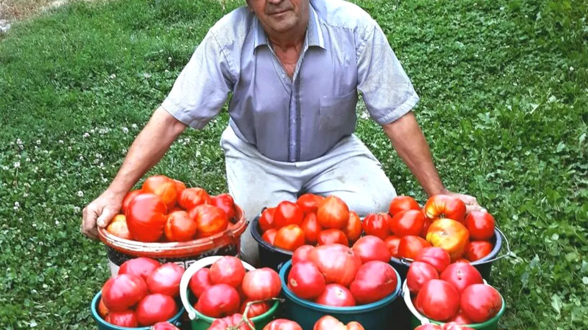 Vali Cucu, grădinarul care a salvat roșiile uriașe românești în urmă cu peste 30 ani, a murit
