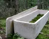 Sicriul din ciuperci care schimbă industria funerară: o alternativă ecologică ce se cultivă în doar șapte zile