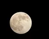 Luna plină din noiembrie se apropie de Pământ. Când şi cum poate fi observat fenomenul