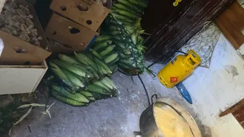 Condițiile mizerabile în care se prepară porumbul și kürtös-ul care se vând pe plajele din România (VIDEO)