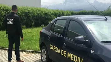 Scandal în Arad: arbori otrăviți cu sare, în centrul orașului. Poliția a deschis dosar penal