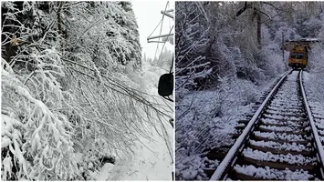 Traficul feroviar, afectat de ninsori şi vânt. Copaci căzuţi pe linii