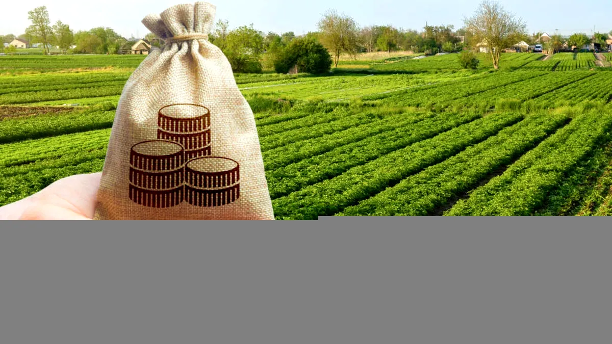 Sprijin pentru fermieri: Guvernul propune suspendarea plății ratelor până la finalul lui 2025