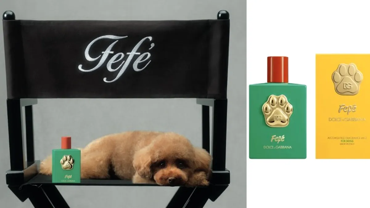 Cât costă parfumul de lux pentru căței lansat de Dolce & Gabbana