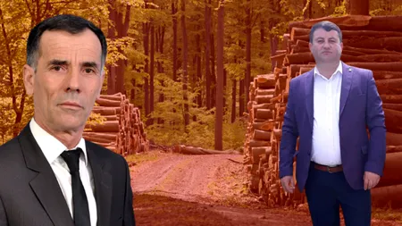 Tranzacție dubioasă cu lemn între primarii PSD din Buzău