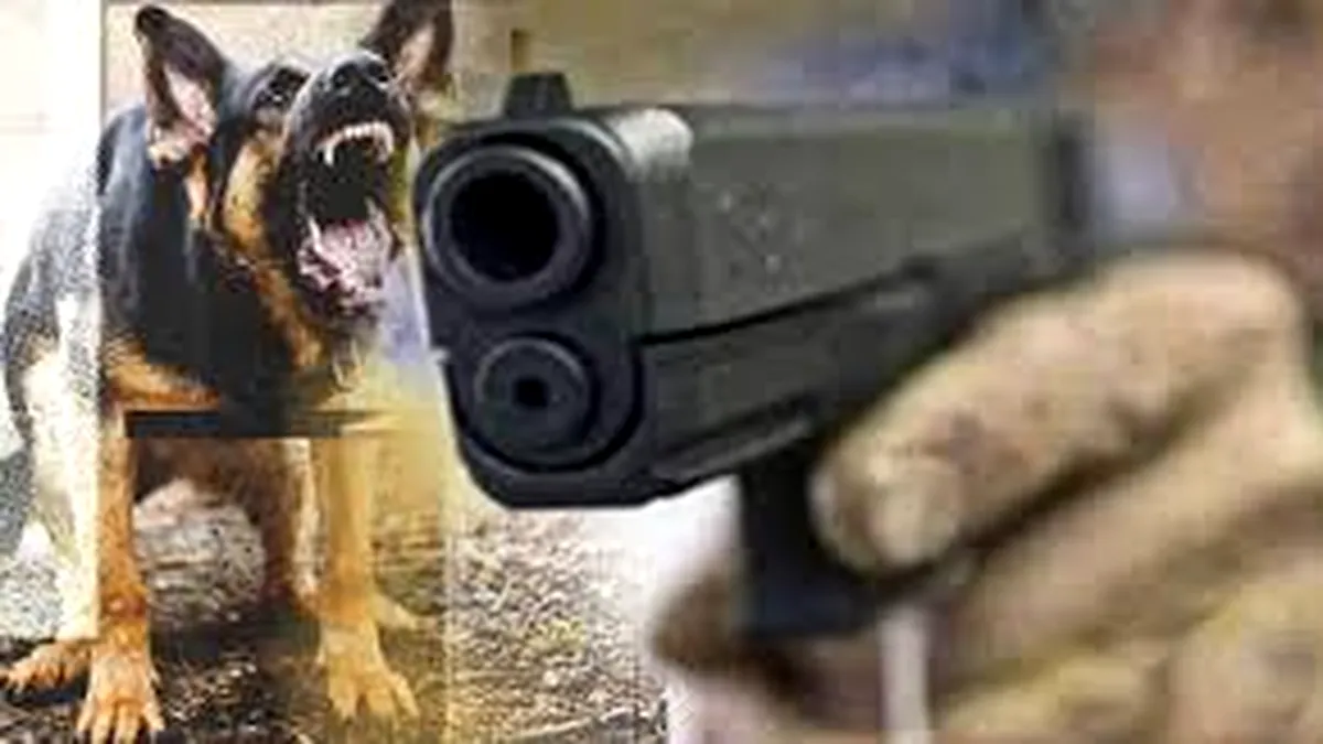 Un ofiţer din cadrul IPJ Gorj a împușcat un câine. Ce riscă bărbatul