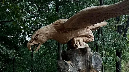 Incredibil: Tabără de sculptură pe domeniul de vânătoare al senatorului Ion Iordache de la Gorj