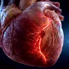 Inima își construiește singură drumuri de salvare. Planul secret care pornește după infarct