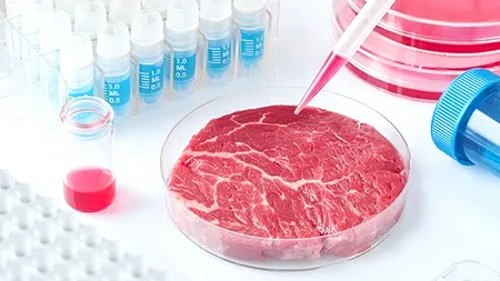 Proiect de lege: Carnea sintetică, interzisă pe piața internă