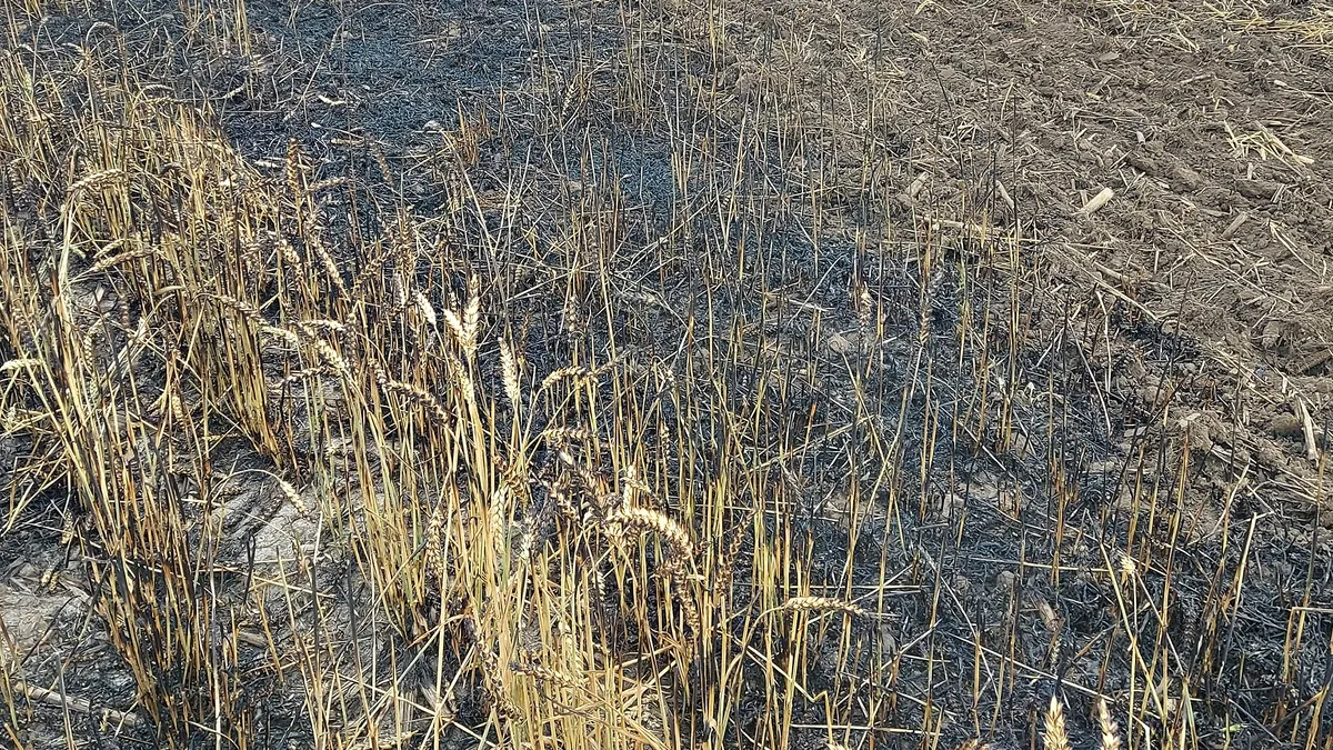 A început recoltatul la grâu, au apărut și incendiile. Ce a pățit un fermier din Călărași