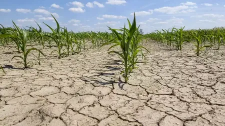 Agricultorii din sudul și estul țării, amenințați de o nouă confruntare - seceta extremă
