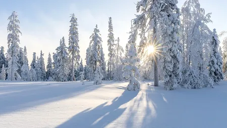 Val de frig extrem : -43 de grade Celsius în nordul Suediei