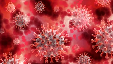 OMS și Statele Unite, vigilență maximă cu noua variantă a virusului infecției Covid-19