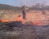 Incendiile de vegetație fac prăpăd în Argeș (Video)