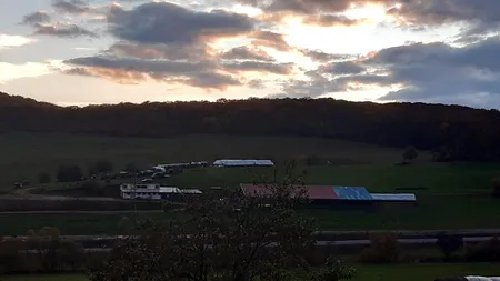 Oierii de la Sibiu: Preţul laptelui este acceptabil la procesator, dar mai bine faci tu brânza şi o vinzi  