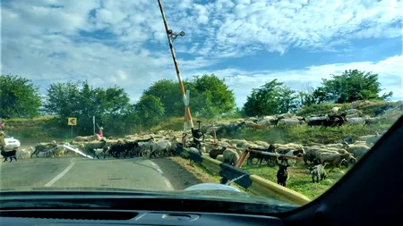 Exclusiv. Reportaj: Turist „de sat”, la Calafat! (GALERIE FOTO)
