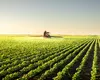 Se construiește o nouă fabrică în România. Va transforma deșeurile agricole în „aur verde”