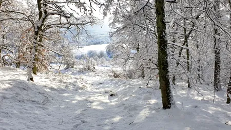 A fugit de războiul din Ucraina, dar a murit în munții din România. Tânărul ucrainean, abandonat de tovarășii de drum