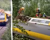 Tren deraiat în Germania, în timpul unei furtuni violente: mai mulți morți și zeci de răniți