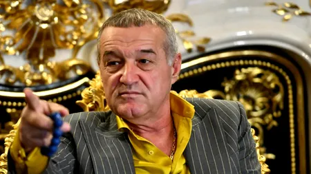 Gigi Becali revine în politică și își face un nou partid