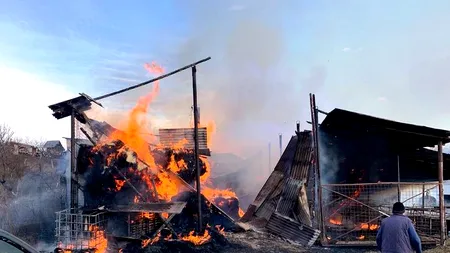Incendiu la o fermă de animale din Vrancea. Cine este patronul