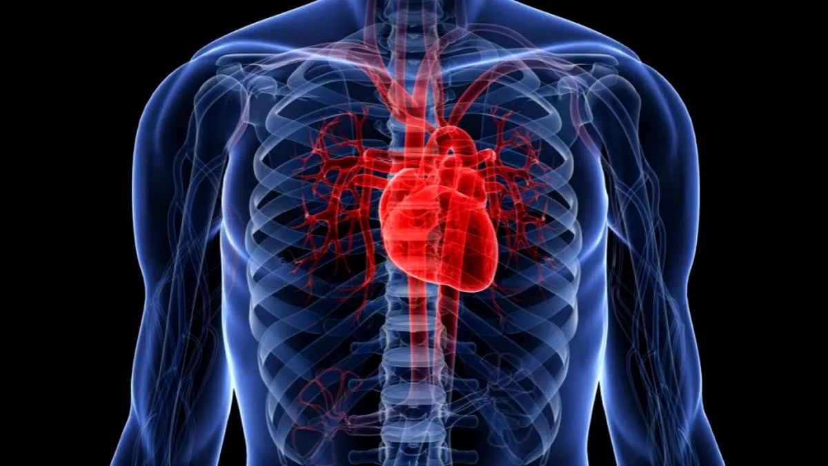 Bolile cardiovasculare, o amenințare  majoră, ignorată de tinere 