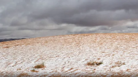 Fenomen incredibil! A nins în deșertul Sahara