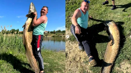 Operațiunea Monstrul: A fost prins un pește uriaș de 2 metri și 50 kg pe o baltă din Arad
