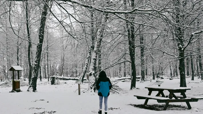 Pe urmele lui Eminescu. Unde sunt „Pădurea de Argint” și „Codrii de Aramă” şi cum le poţi vizita