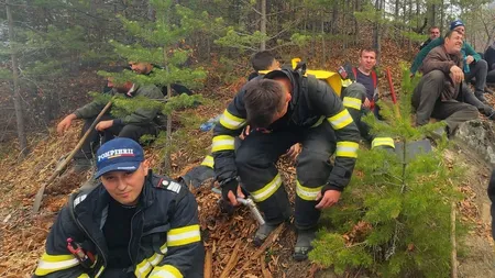 30 hectare de pădure ard de trei zile, în Argeş. Pompierii intervin şi în ziua de Paşte