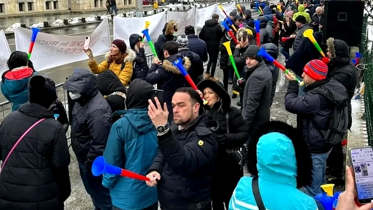 Proteste la PMB. Locuitorii din  cartierul Greenfield nu renunță la drumul prin pădurea Băneasa