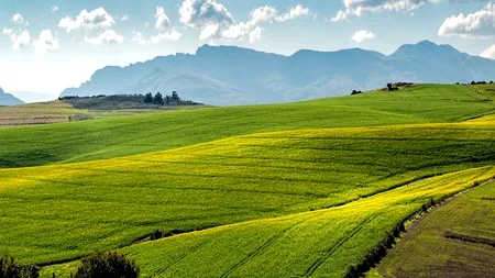 EXCLUSIV. Pactul verde european stârnește îngrijorare în rândul fermierilor români. Care le sunt temerile