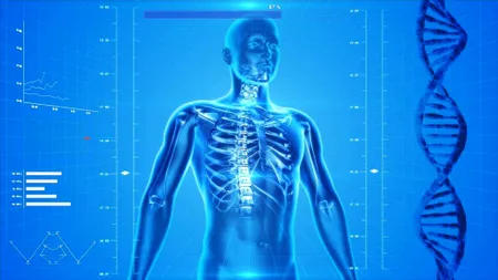 Cercetătorii au creat implanturi de măduva spinării pentru tratarea paraplegiei