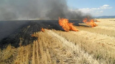 Peste 3.700 ha de teren afectate de arderile necontrolate, în ultimele trei zile