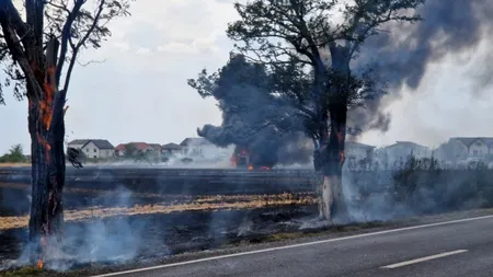Incendiu de proporții pe Șoseaua Olteniței: A fost emisă avertizare RO-Alert