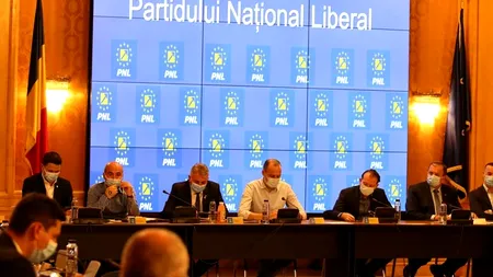 Liberalii decid azi soarta noului Guvern, a SRTv şi SRR și eventuala excludere din partid a lui Ludovic Orban