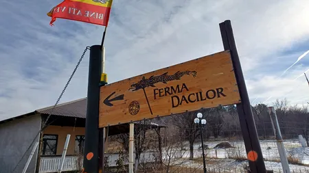Funcționară din Primăria Gura Vadului, reținută în dosarul Ferma Dacilor