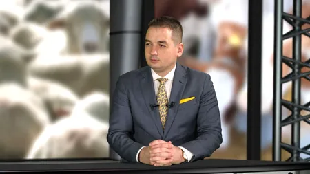 Dosar la DNA pentru președintele ANSVSA, omul lui Cîțu EXCLUSIV