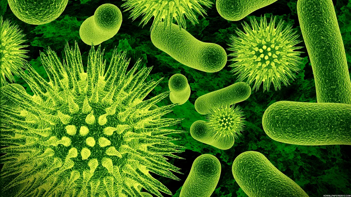 OMS: Lista cu bacteriile rezistente la medicamente, care amenință sănătatea la nivel planetar