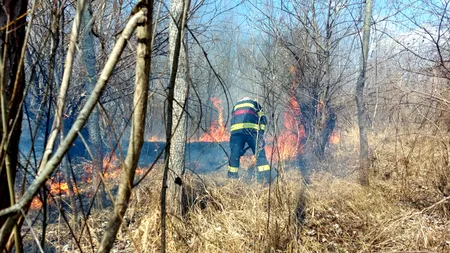 Giurgiu: 300 de hectare de teren arse într-un incendiu pentru stingerea căruia 70 de pompieri s-au luptat șapte ore