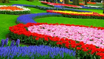 Florile pe care e bine să le plantezi în luna mai. Vei avea o grădină spectaculoasă