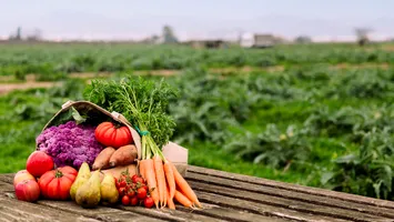 Sute de mii de agricultori ar putea rămâne fără subvenții. Statul lovește din nou în cei mici