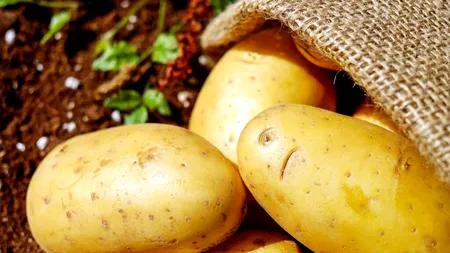 Producția de cartofi mai întâi, după aceea vin depozitele prin PNS
