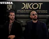 Frații Tate, trimiși în judecată de DIICOT: acuzații grave de trafic de minori și spălare de bani