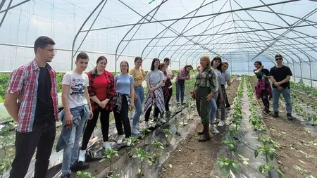 Joblandia, platforma care îi poate ajuta pe elevi în alegerea carierei